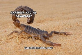 Akrepler Kaç Yıl Yaşarlar?