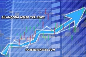 Bilançoda Neler Yer Alır?