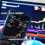 Bitcoin Cash (BCH) Nedir?