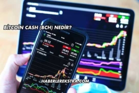 Bitcoin Cash (BCH) Nedir?