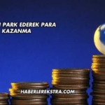 Domain Park Ederek Para Kazanma