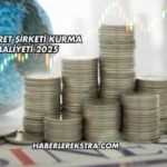 E-Ticaret Şirketi Kurma Maliyeti 2025