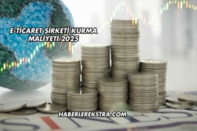 E-Ticaret Şirketi Kurma Maliyeti 2025