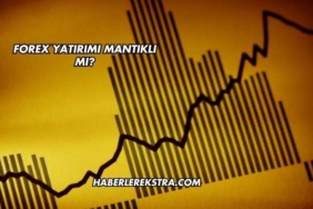 Forex Yatırımı Mantıklı mı?