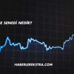 Hisse Senedi Nedir?