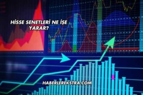 Hisse Senetleri Ne İşe Yarar?