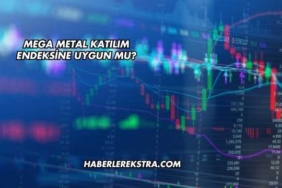 Mega Metal Katılım Endeksine Uygun mu?