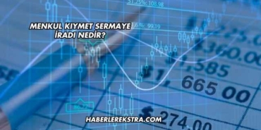 Menkul Kıymet Sermaye İradı Nedir?