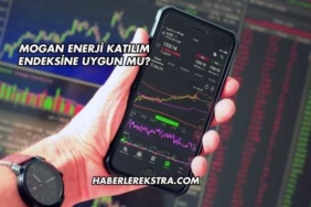 Mogan Enerji Katılım Endeksine Uygun mu?