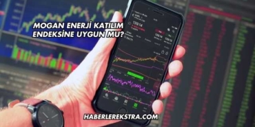 Mogan Enerji Katılım Endeksine Uygun mu?