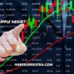 Ripple Nedir?