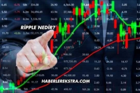 Ripple Nedir?