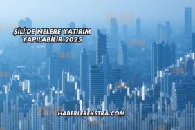 Şili'de Nelere Yatırım Yapılabilir 2025