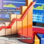 THY Katılım Endeksine Uygun mu?