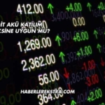 Yiğit Akü Katılım Endeksine Uygun mu?