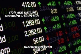 Yiğit Akü Katılım Endeksine Uygun mu?