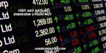 Yiğit Akü Katılım Endeksine Uygun mu?